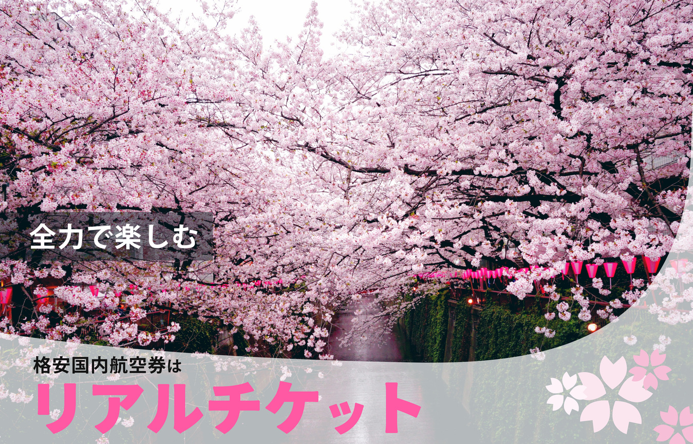 国内航空券 予約