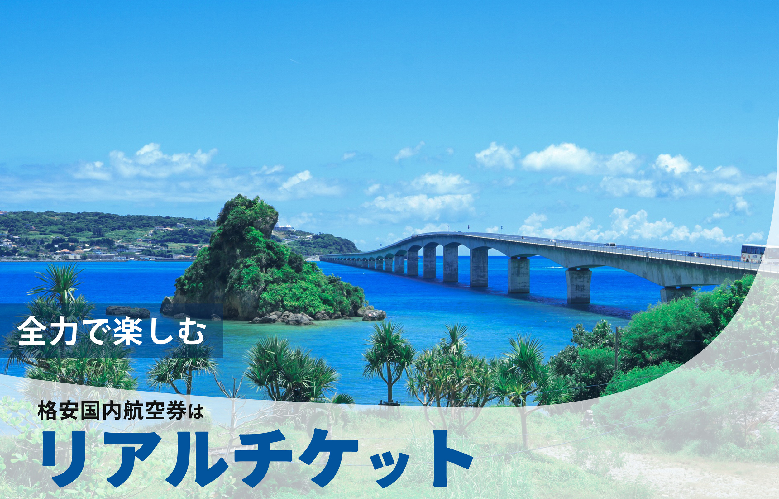 国内航空券 予約