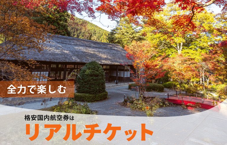 国内航空券 予約