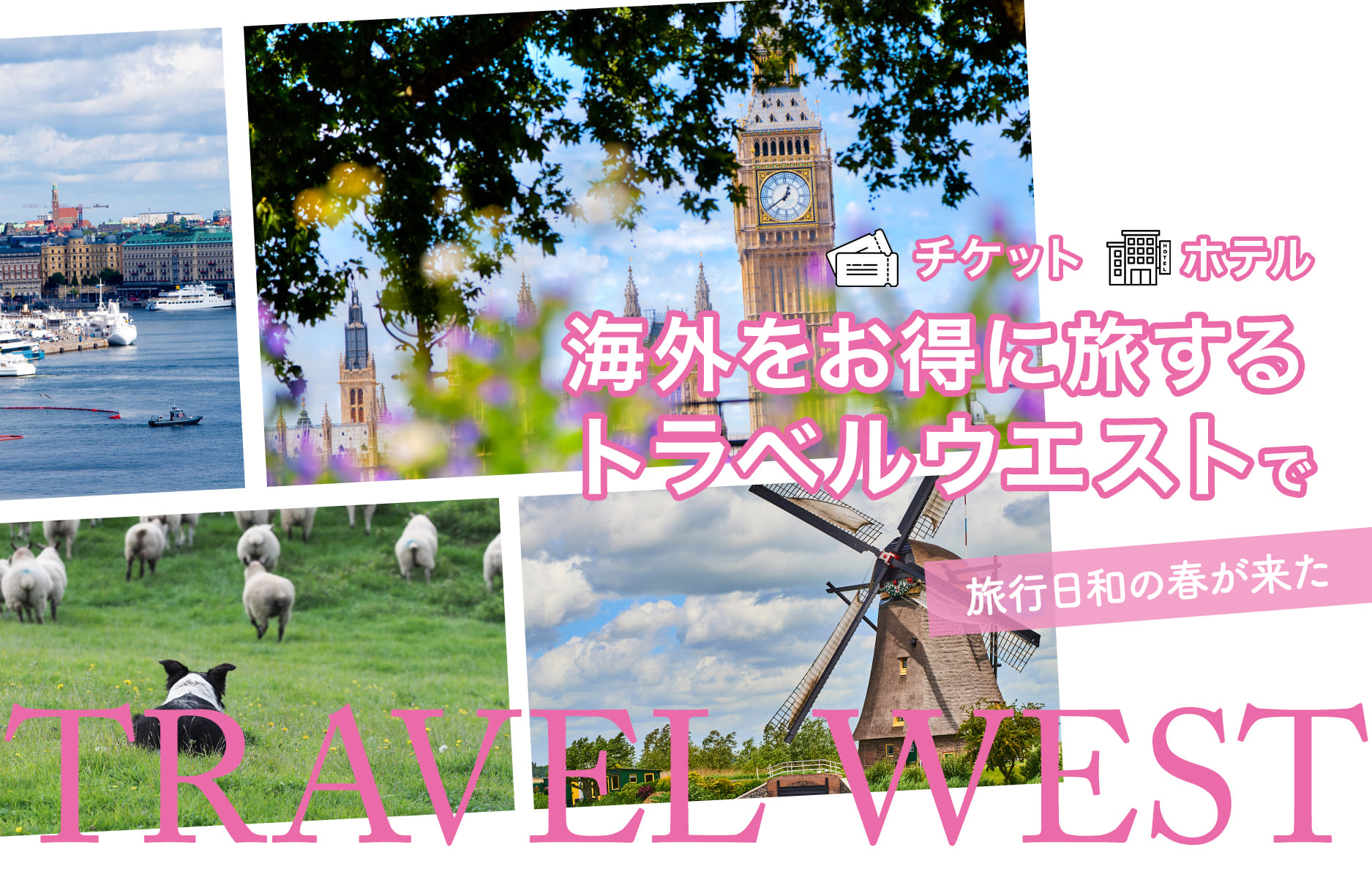 海外ツアー 予約